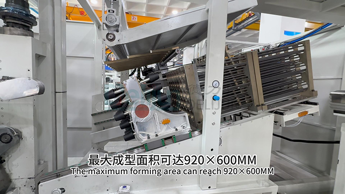 Automatic Plastic Cup Thermoforing Machine